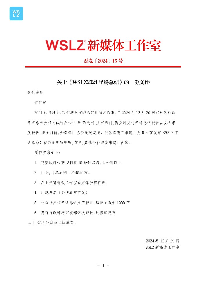 关于《WSLZ2024年终总结》的一份文件
