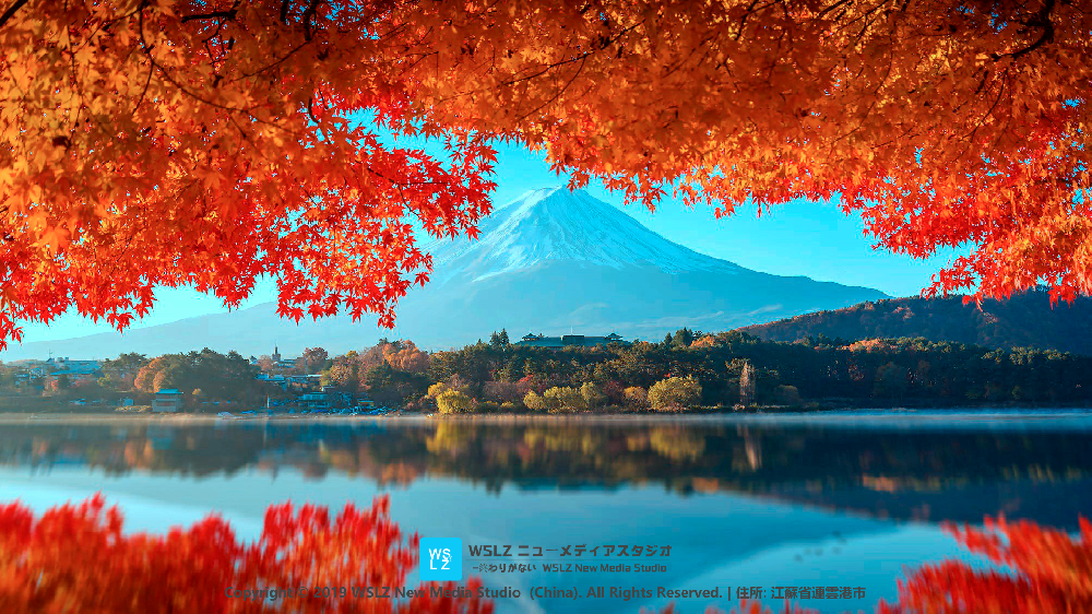 【WSLZ东京】最美的风景就在眼前！ | 【WSLZ 東京】最高に美しい景色が目の前に！